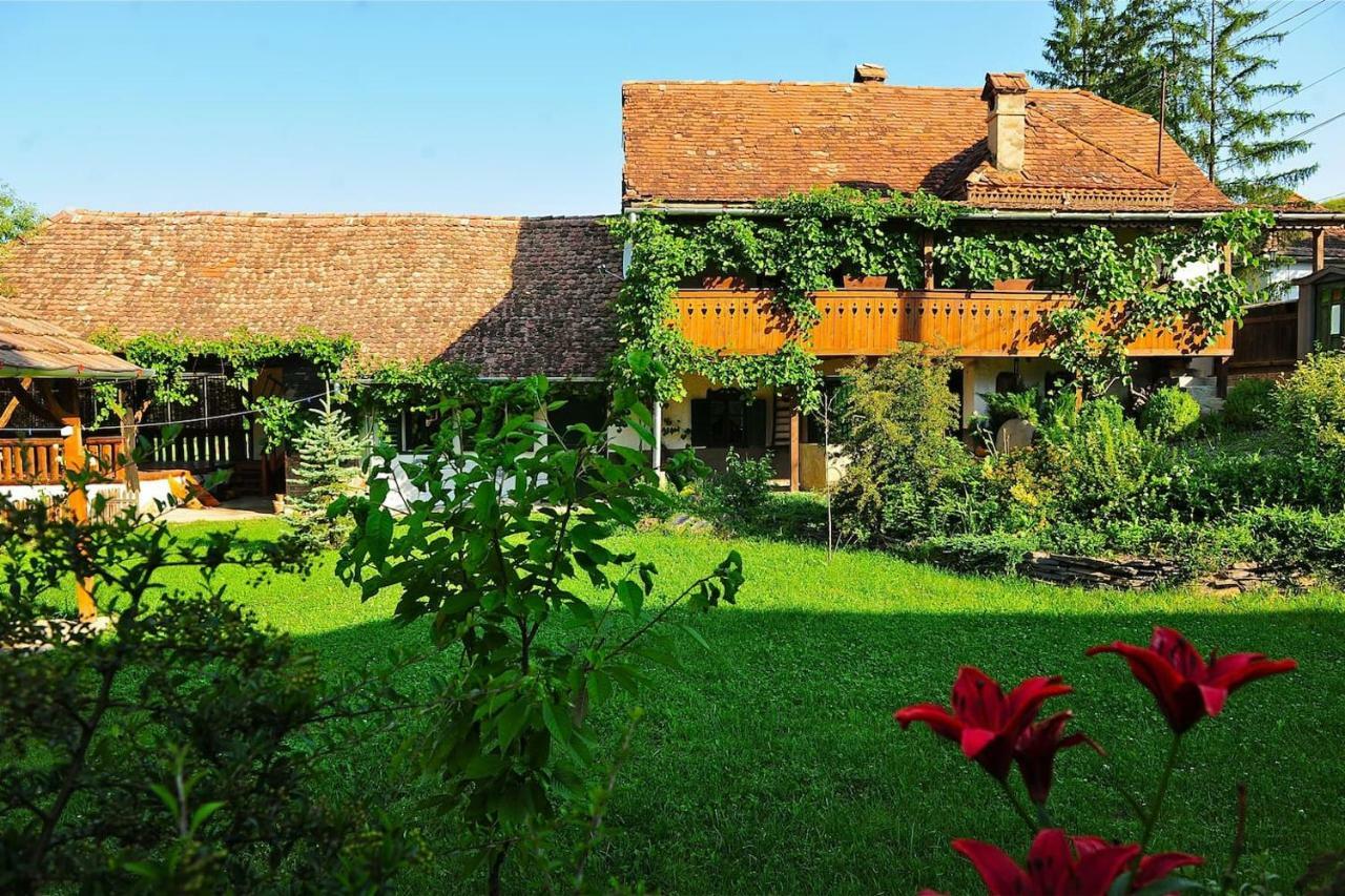 Transylvanian Country House Vetca Dış mekan fotoğraf