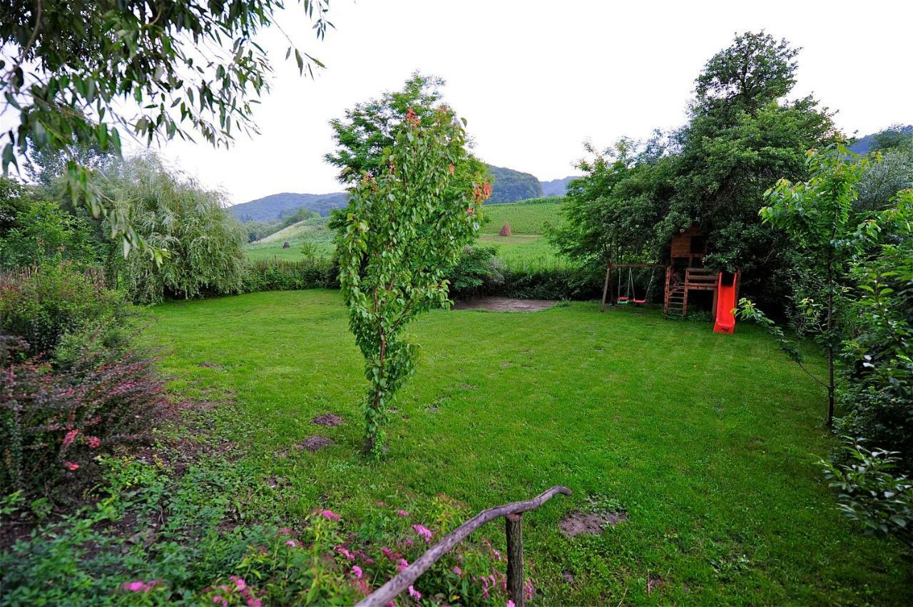 Transylvanian Country House Vetca Dış mekan fotoğraf